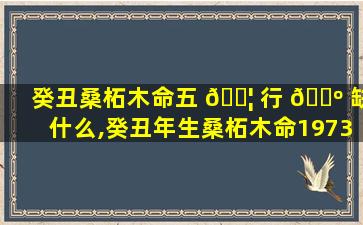 癸丑桑柘木命五 🐦 行 🐺 缺什么,癸丑年生桑柘木命1973缺什么